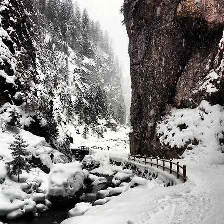 Aparthotel Sol E Nef Rocca Pietore